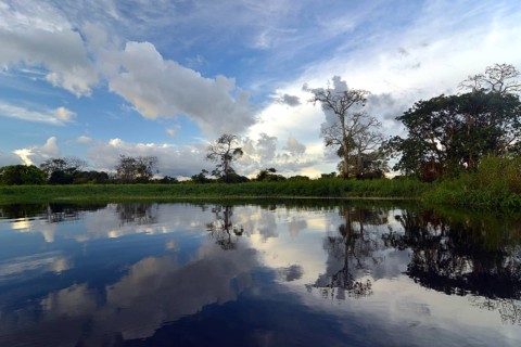 Dusk at a lake-like widened part of the Amazon or Rio Solimoes
