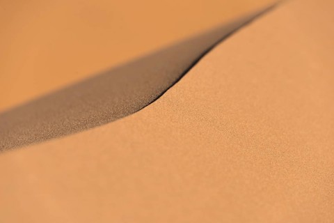 Ridge of a dune