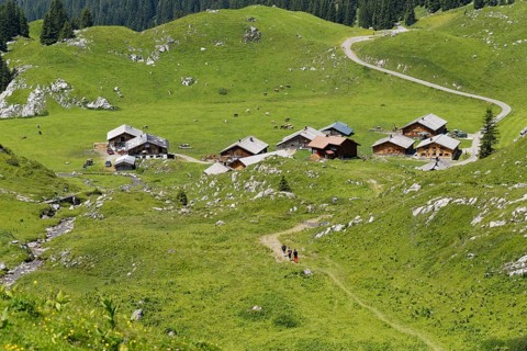 Laguz Alps