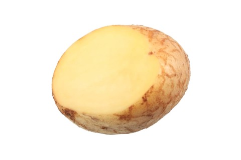 Potato