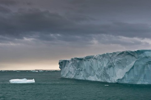 Brasvellbreen