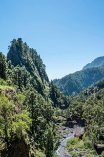 Ravine with creek in the Caldera de Taburiente National Park