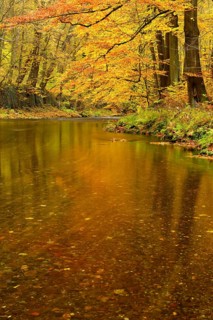 Schwarza River in the autumn