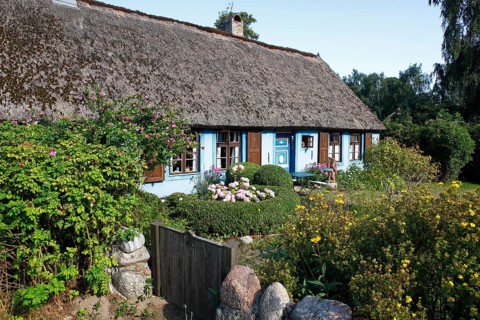 Blue House
