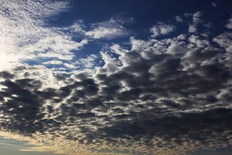 Fleecy clouds