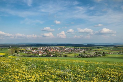 Village of Emmingen-Liptingen in the Hegaualb landscape