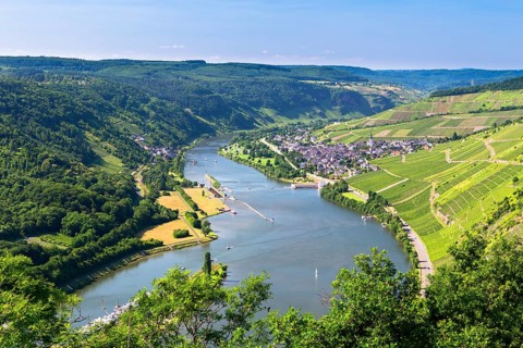 Moselle River with the village of Enkirch surrounded by vineyards