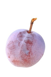 Graf Althans greengage