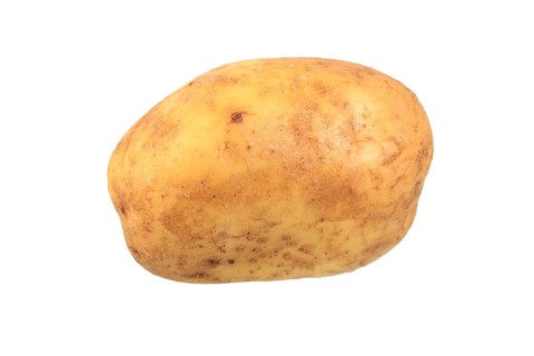 Potato