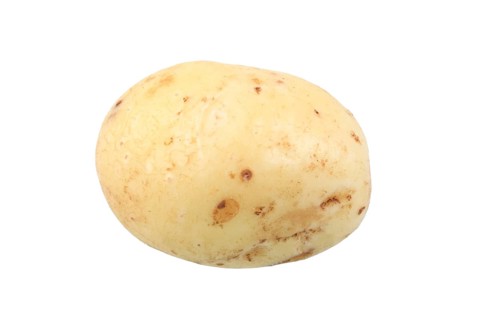 Potato