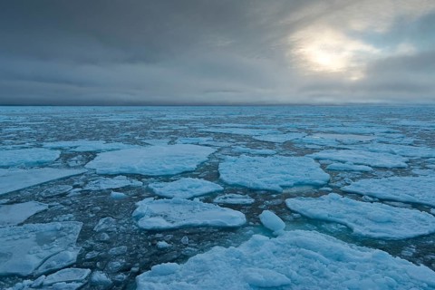 Ice floes