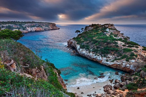 Coast at dawn