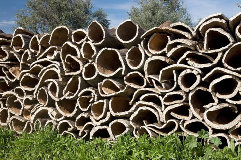 Stacked cork