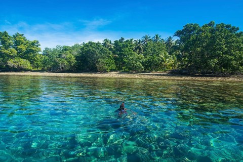 Man snorkeling in the clear waters