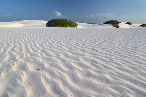 Desert landscape