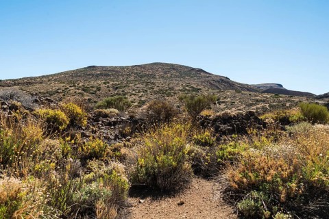 Volcanic landscape