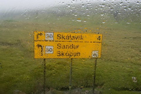 Rain on a windshield