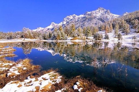 Schwarzsee or Lai Nair with snow-covered larch forest