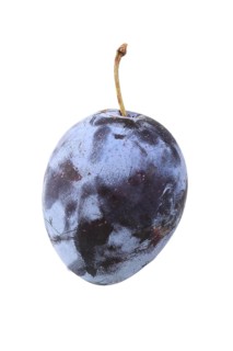 Plum