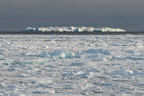Iceberg