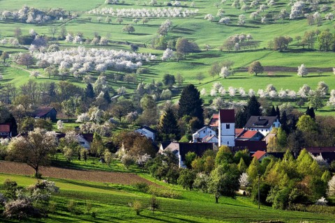 Townscape