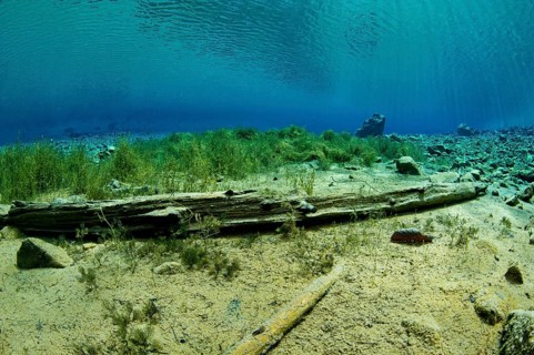 Underwater view