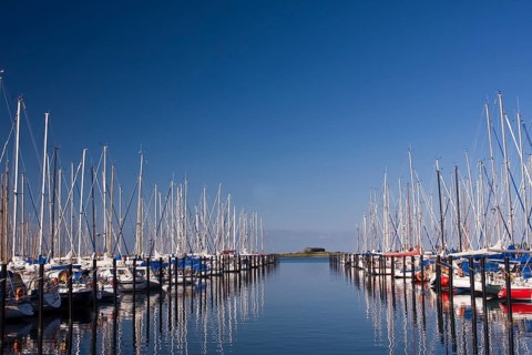 Sailboats in the marina