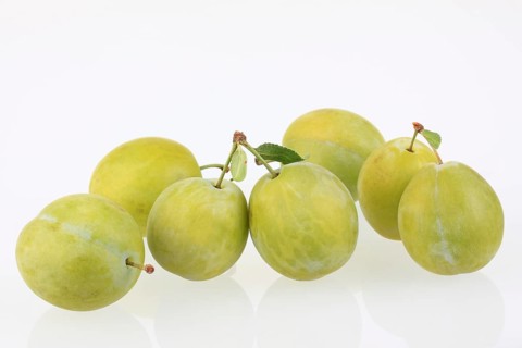 Ontario plums