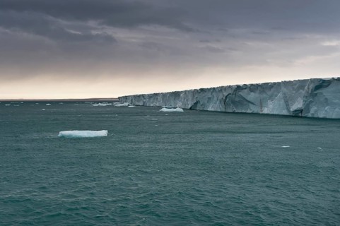 Brasvellbreen