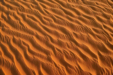 Sand ripples