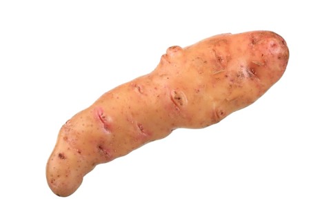Potato