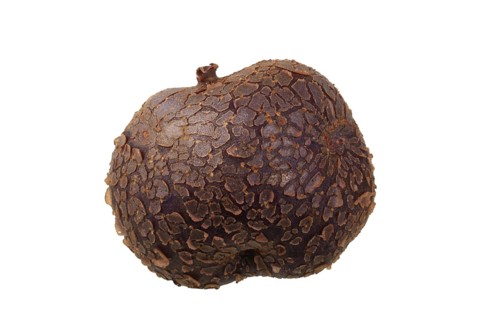 Potato
