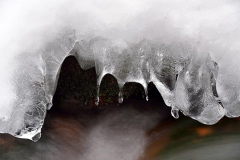 Ice formations in the Bode mountain stream