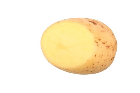Potato