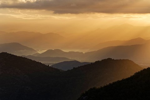 Early morning