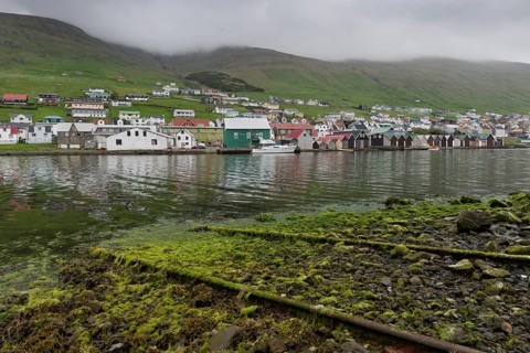 Rails on a boat ramp