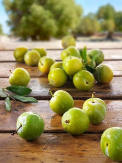 Greengage plums