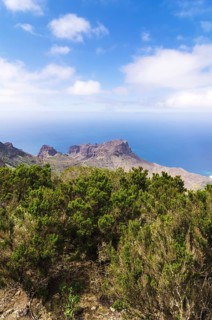 View from the lookout Mirador de Alojera in the Garajonay National Park