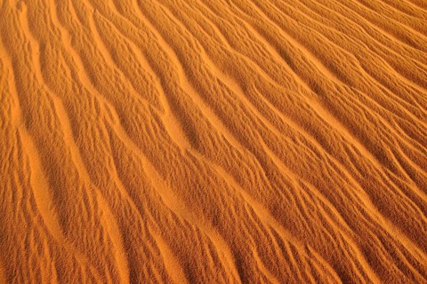 Sand ripples
