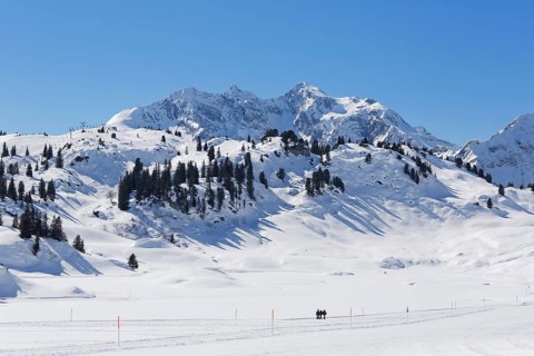 Hochtannberg Pass with the mountains Butzenspitze