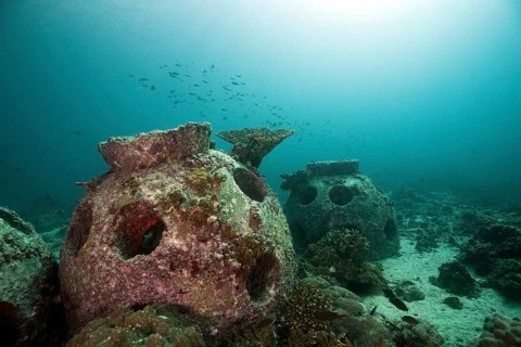 Coral breeding cone