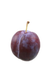 Plum