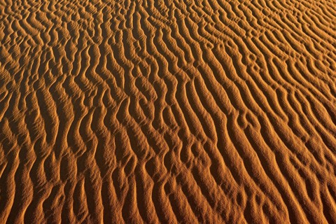 Sand ripples