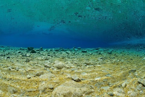 Underwater view