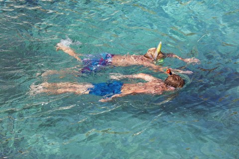 Snorkelers