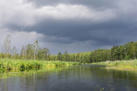 The Krutynia River near Ruciane-Nida
