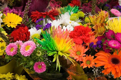 Bouquets of gerbera