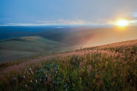 Sunrise at the Taylor Highway