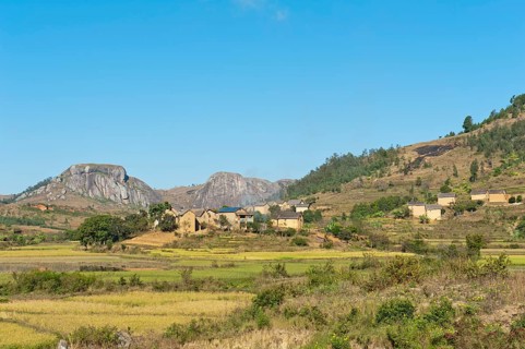 Landscape