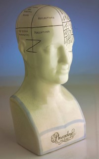 Ceramic bust with English labeling of brain activity